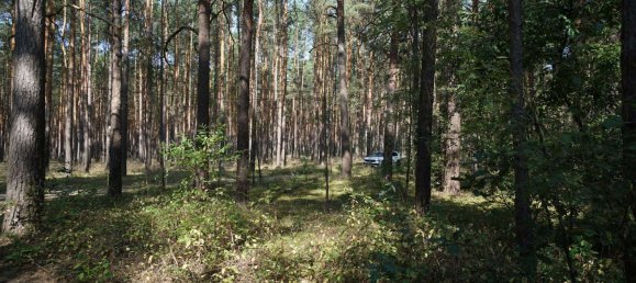 Grundstück in Potsdam-Mittelmark, Germany, Nr. 99613 19