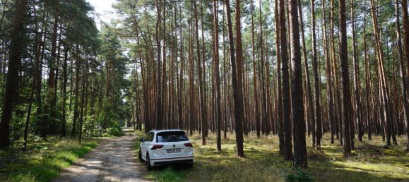 Grundstück in Potsdam-Mittelmark, Germany, Nr. 99613 22