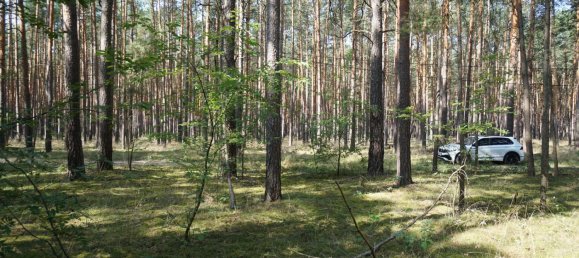 Grundstück in Potsdam-Mittelmark, Germany, Nr. 99613 18