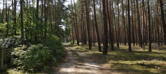 Grundstück in Potsdam-Mittelmark, Germany, Nr. 99613 27