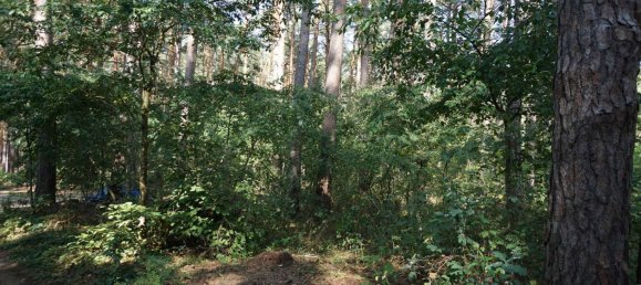 Grundstück in Potsdam-Mittelmark, Germany, Nr. 99613 14