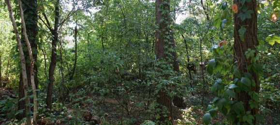 Grundstück in Potsdam-Mittelmark, Germany, Nr. 99613 8