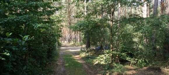 Grundstück in Potsdam-Mittelmark, Germany, Nr. 99613 13