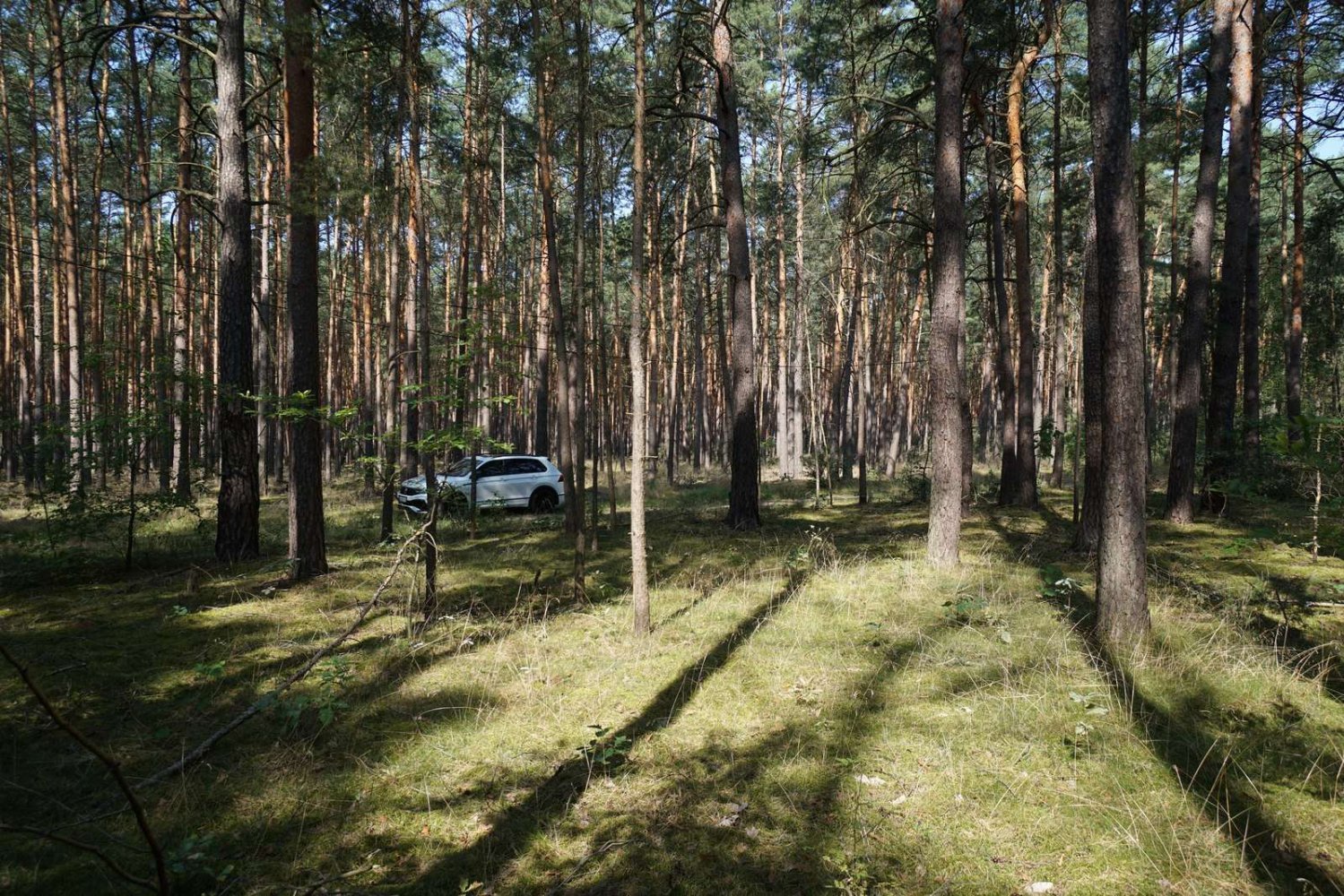 Grundstück in Potsdam-Mittelmark, Germany, Nr. 99613