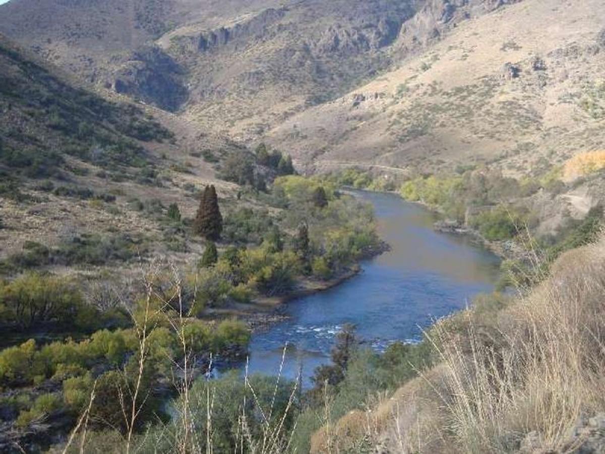  قطعة أرض في Neuquen, Argentina رقم 34024