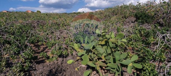 3 غرف نوم فيلا في Bronte, Italy رقم 319033 24