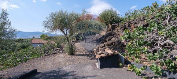 3 غرف نوم فيلا في Bronte, Italy رقم 319033 5