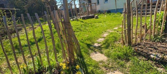 3غرفة شقة في Wilhering, Austria رقم 241543 2