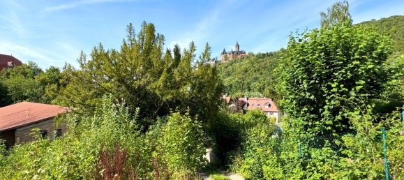 Villa de 8 habitaciónes en Harz, Germany No. 332367 29