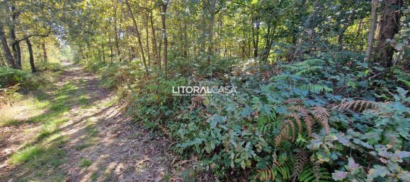  Land in Oliveira de Azemeis, Portugal No. 67221 8