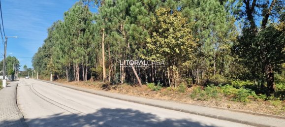  Land in Oliveira de Azemeis, Portugal No. 67221 4