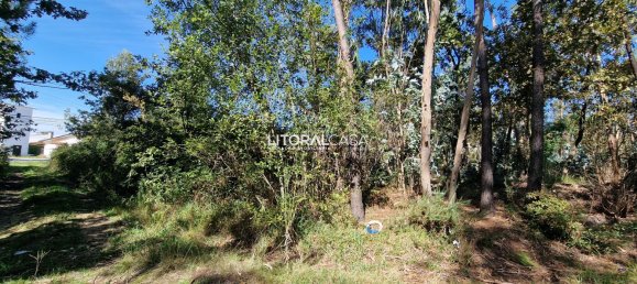  Land in Oliveira de Azemeis, Portugal No. 67221 9