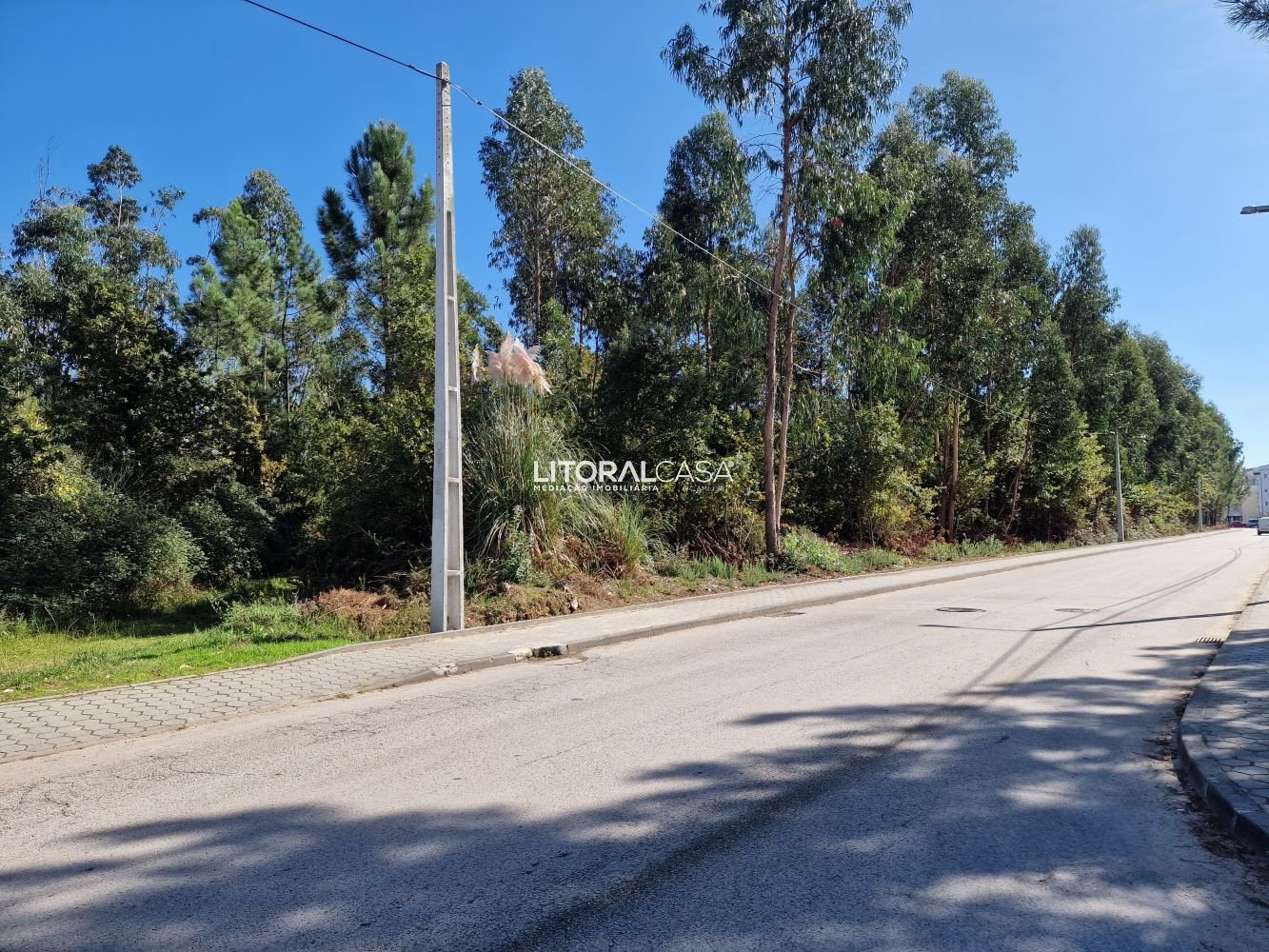  Land in Oliveira de Azemeis, Portugal No. 67221