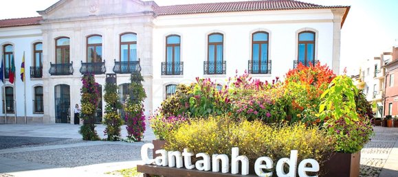 Grundstück in Penacova, Portugal 7200m², Nr. 62171 15