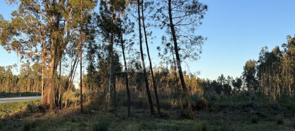 Grundstück in Penacova, Portugal 7200m², Nr. 62171 3