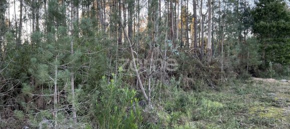 Grundstück in Penacova, Portugal 7200m², Nr. 62171 7