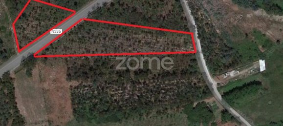 Grundstück in Penacova, Portugal 7200m², Nr. 62171 2