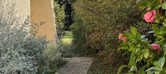 6 bedrooms Villa in Santa-Lucia-di-Moriani, France No. 62769 20