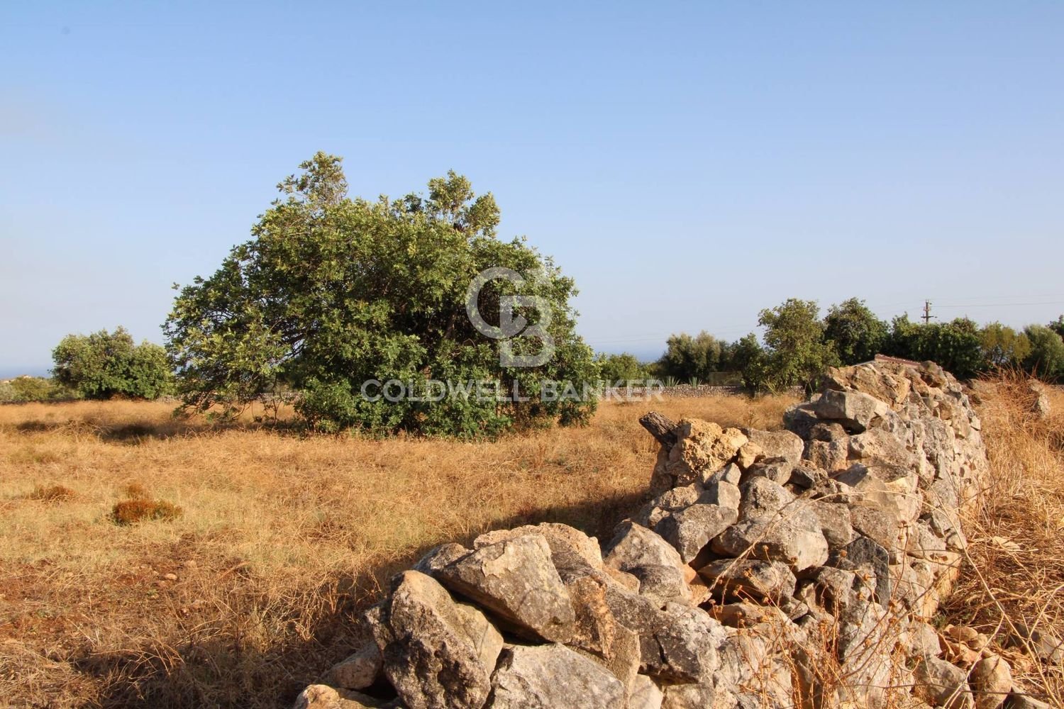 10000m² Land in Scicli, Italy No. 278155