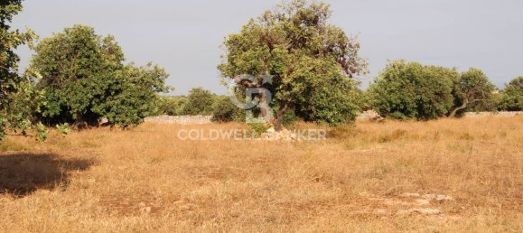 10000m² Land in Scicli, Italy No. 278155 25