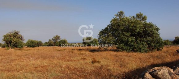 10000m² Land in Scicli, Italy No. 278155 21