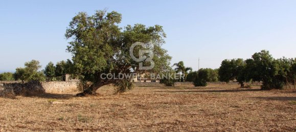 10000m² Land in Scicli, Italy No. 278155 27