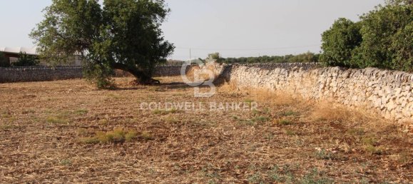 10000m² Land in Scicli, Italy No. 278155 14