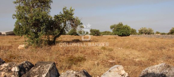 10000m² Land in Scicli, Italy No. 278155 15