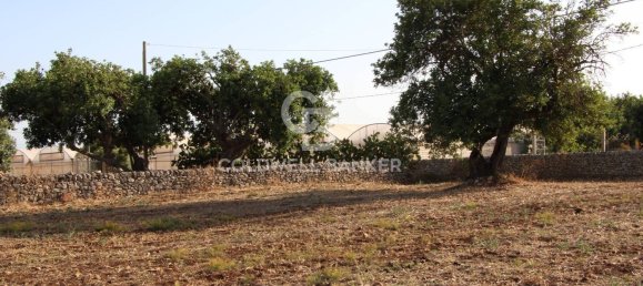 10000m² Land in Scicli, Italy No. 278155 4
