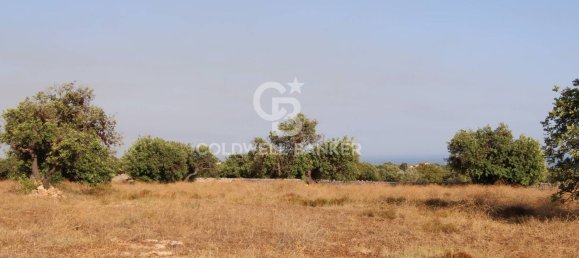 10000m² Land in Scicli, Italy No. 278155 24