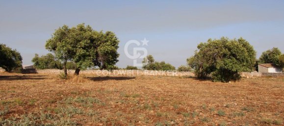 10000m² Land in Scicli, Italy No. 278155 2