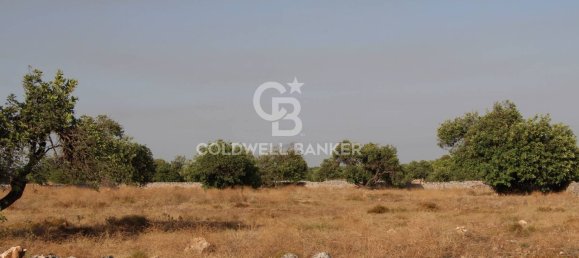 10000m² Land in Scicli, Italy No. 278155 12
