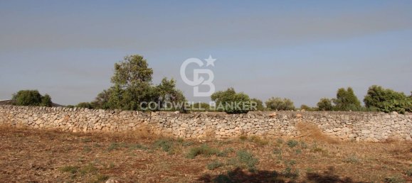 10000m² Land in Scicli, Italy No. 278155 8