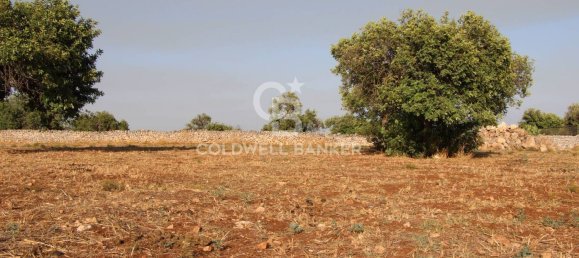10000m² Land in Scicli, Italy No. 278155 5