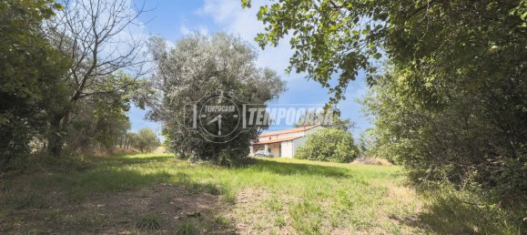 10-Zimmer Haus in Coriano, Italy, Nr. 328696 42