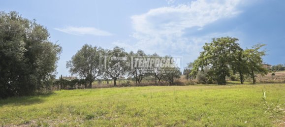 10-Zimmer Haus in Coriano, Italy, Nr. 328696 44