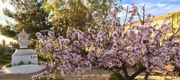 2 bedrooms Villa in Los Urrutias, Spain No. 9482 28