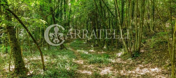 2 Schlafzimmer Haus in Sarteano, Italy, Nr. 160586 27