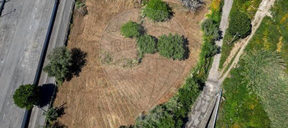 9 Schlafzimmer Haus in Mafra, Portugal, Nr. 164565 2