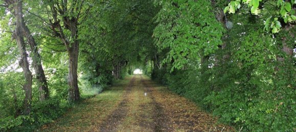 Terrain à Saint-Genis-de-Saintonge, France 11400m² No. 291338 3