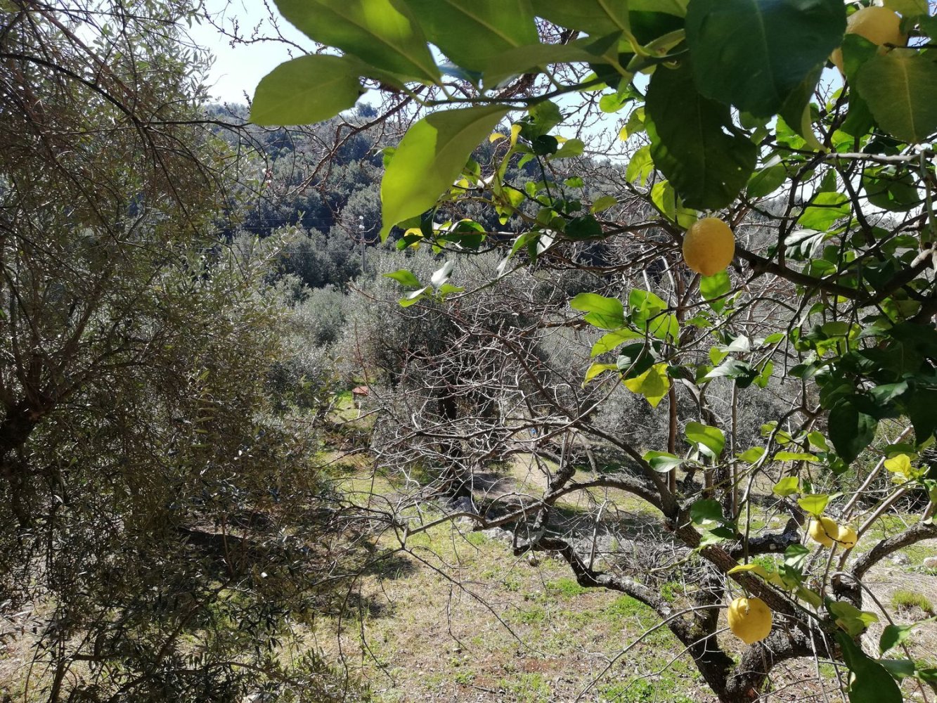 Casa de 5 divisões em Terracina, Italy N.º 228813