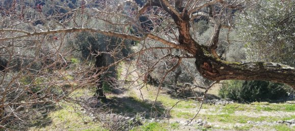 Casa de 5 divisões em Terracina, Italy N.º 228813 4