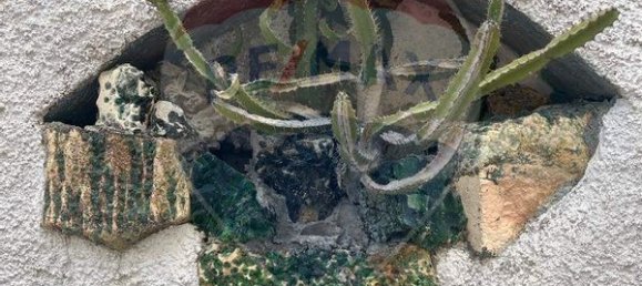 4 غرف نوم منزل في Figueira da Foz, Portugal رقم 184366 38