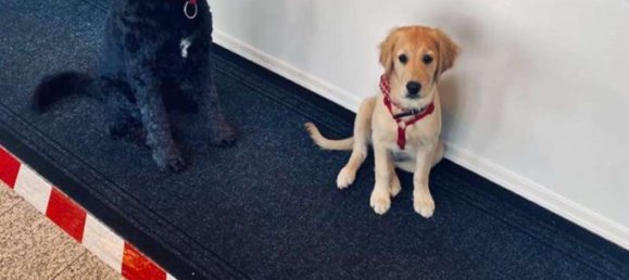 3 rooms Apartment in Munich, Germany No. 197480 10