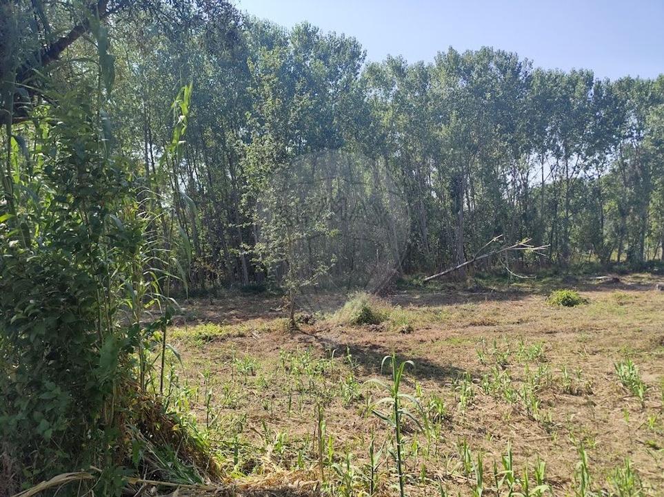  Land in Oia, Portugal No. 298224