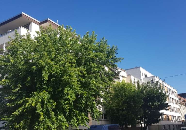 1 bedroom Apartment in Heidelberg, Germany No. 267328