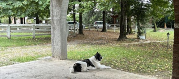 4-Zimmer Villa in Loreggia, Italy, Nr. 61728 22