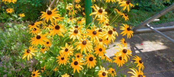 Terreno de 4 habitaciónes en Vienna, Austria No. 241470 27