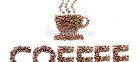 Gewerbliche Immobilie in Jesolo, Italy 65m², Nr. 360362 8