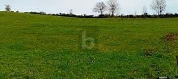  قطعة أرض في Rhineland-Palatinate, Germany 2000متر مربع رقم 366921 2